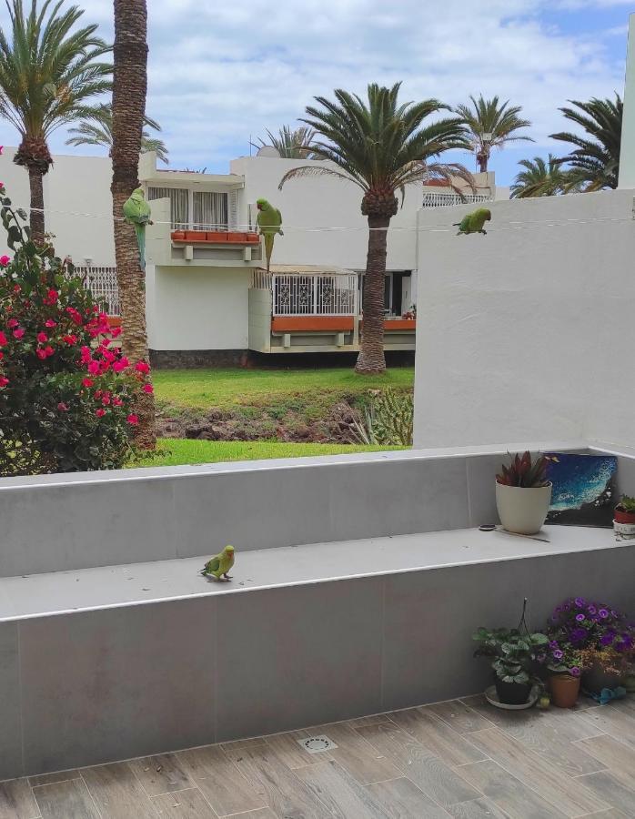 Ideal Holiday Apartment In The South Of Tenerife Коста дел Силенцио Екстериор снимка